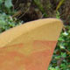 Sandstone sail Sandstone sail