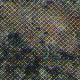 Polished Himalayan Blue granite Polished Himalayan Blue granite
