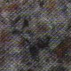 Polished Paradiso Granite Polished Paradiso Granite