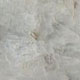 Polished Colonial White Granite Polished Colonial White Granite
