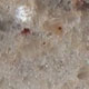 Polished Ivory Brown Granite Polished Ivory Brown Granite
