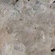 Polished Ivory Fantasy Granite Polished Ivory Fantasy Granite