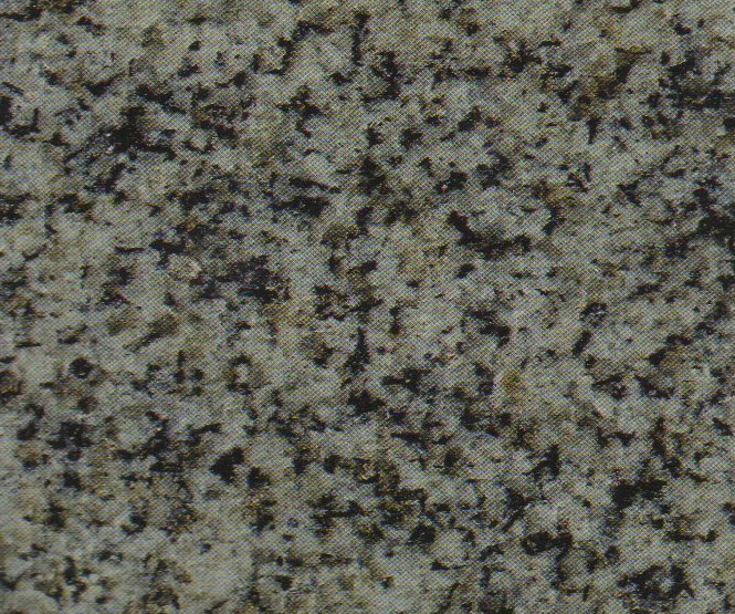 Polished Karin Grey Granite Polished Karin Grey Granite