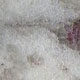 Polished Thunder White Granite Polished Thunder White Granite