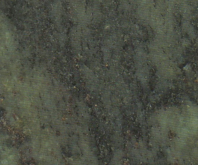 Polished Tropical Green Granite Polished Tropical Green Granite