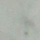 White marble White marble